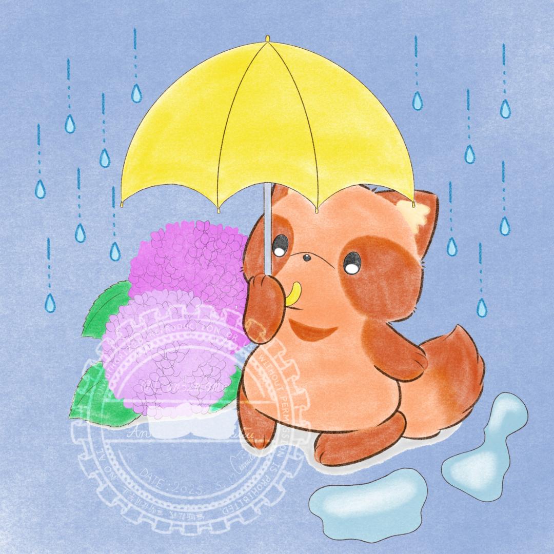 梅雨