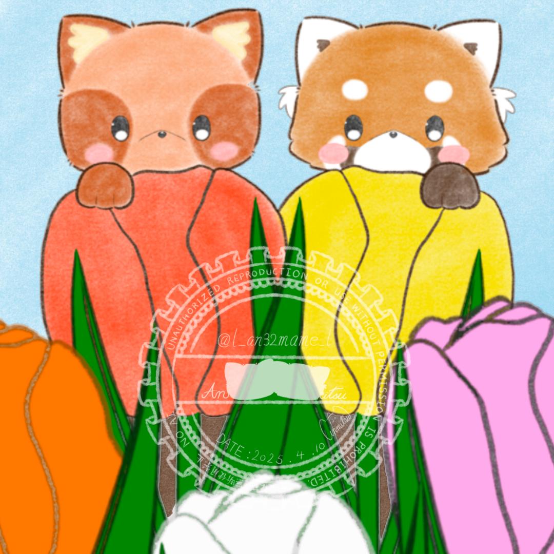 チューリップ